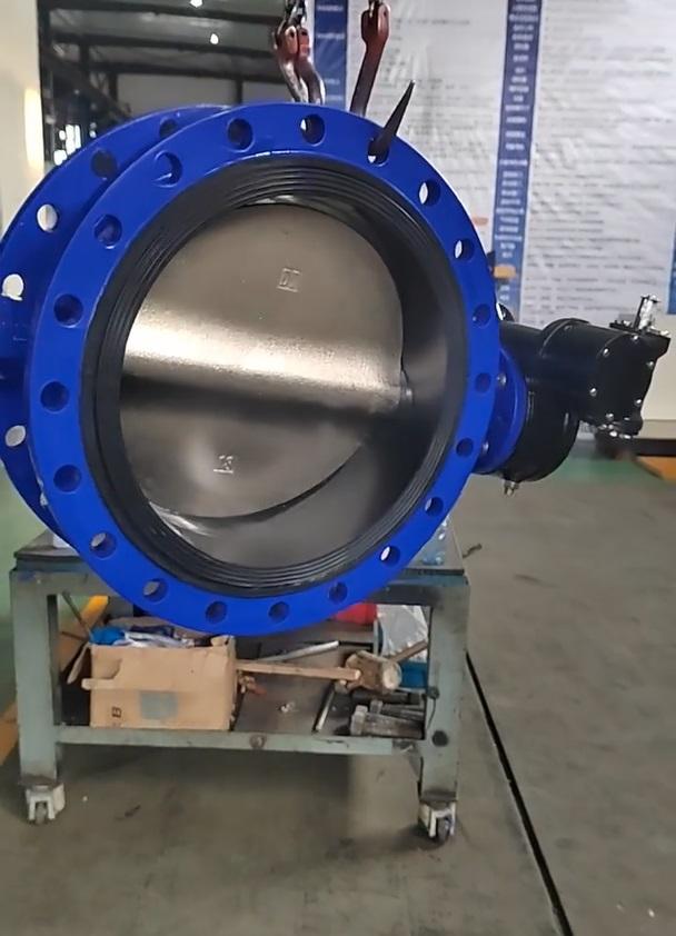 8" stainless steel flanged butterfly valve