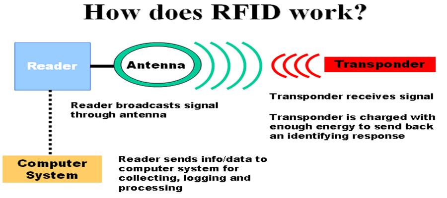 What are RFID Tags and How Do They Work?